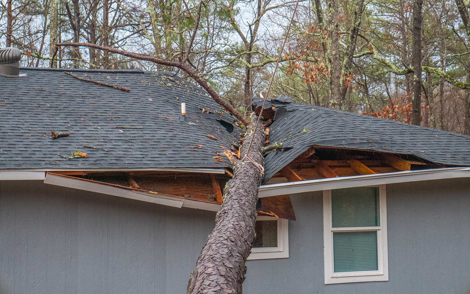 Roofing Shingles Wind Storm and Tree Damage