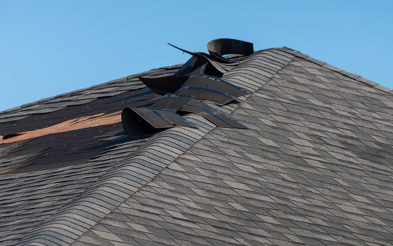Roofing Shingles Wind Damage