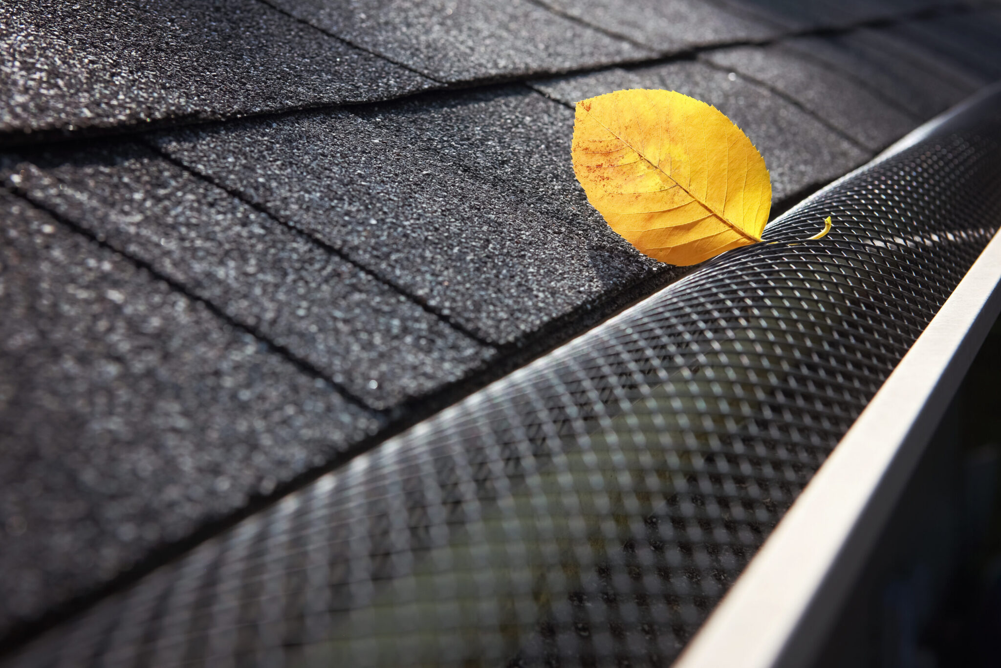 Plastic guard over gutter on a roof with a leaf stuck on the out